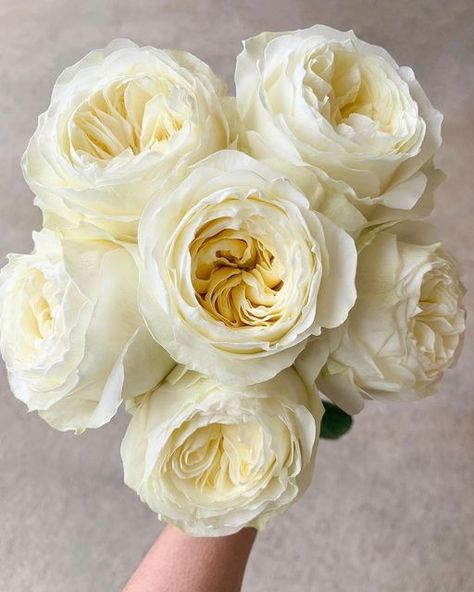 Wedding Staircase, Garden Rose Bouquet, July Flowers, Wafer Paper Flowers, White Ranunculus, Heirloom Roses, Flower Guide, Garden Rose, David Austin