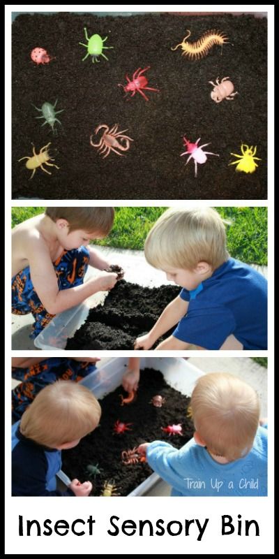 Insect Sensory Bin ~ Learn Play Imagine Insect Sensory Bin, Insect Sensory, Nature Birthday, Insect Unit, Insect Activities, Centipedes, Small Creatures, Halloween Sensory, Learn Through Play