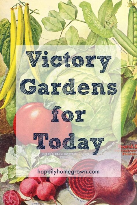 Victory Gardens for Today | Happily Homegrown Victory Garden Plans, Row Gardening, Victory Gardens, Vegetable Harvest, Garden Plots, Homestead Gardens, Victory Garden, Family Eating, Square Foot Gardening