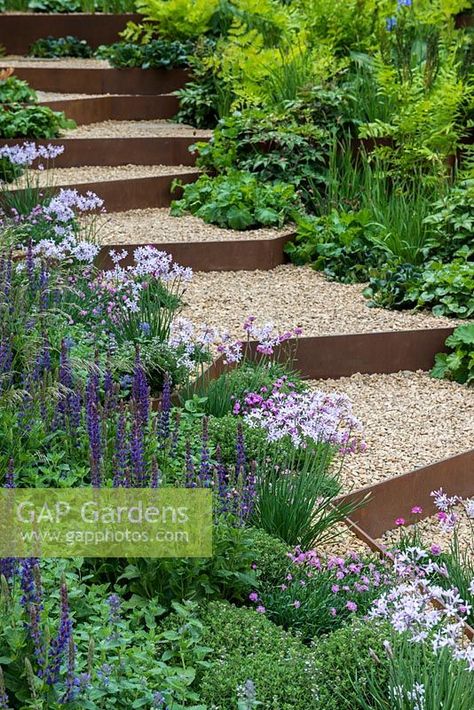 Gravel steps with rusted corten steel risers edged with Salvia Mainacht, Thymus vulgaris, Armeria maritima, Nepeta x fraassenii and Tulbaghia violacea. Gravel Steps, Gravel Driveways, Ideas Backyard Patio, Aesthetic Backyard, Backyard Aesthetic, Sloped Backyard Landscaping, Decorative Aggregates, Landscape Stairs, Landscaping Backyard