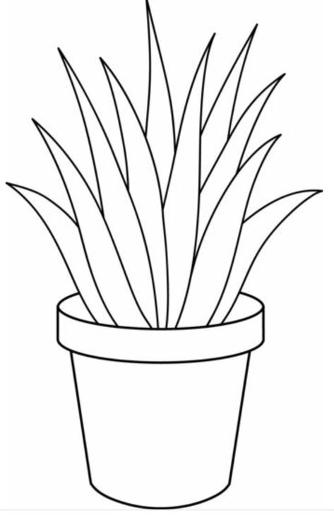 Plant Clipart, Pencil Drawings Of Flowers, Plant Clips, Aloe Vera Plant, White Plants, Pola Sulam, Plant Drawing, Clipart Black And White, Flower Coloring Pages