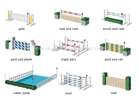 obstacles image Cross Country Jumps, Horse Exercises, Horse Riding Tips, Types Of Horses, Horse Tips, Horse Diy, Equestrian Sports, Horse Blankets, Hobby Horse