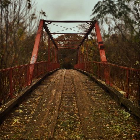 Small Town Aesthetic, Paranormal Aesthetic, Small Town Mystery, Town Aesthetic, Forest Aesthetic, Paranormal Investigation, Southern Gothic, Ghost Hunters, Gothic Aesthetic