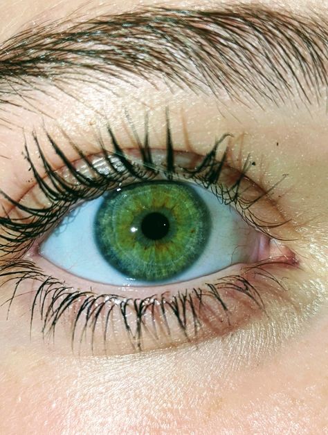 Lashes Serum, Pretty Eyes Color, Rare Eyes, Serum Skincare, Beautiful Eyes Color, Photos Of Eyes, Lash Serum, Aesthetic Eyes, Gorgeous Eyes