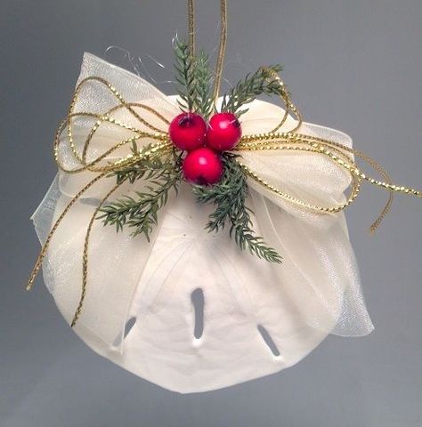 Sanddollar Christmas Crafts, Sanddollar Ornaments Diy, Sand Dollar Christmas Ornaments Diy, Sand Dollar Ornaments Diy, Sand Dollar Christmas Ornaments, Sand Dollar Craft, Sand Dollar Ornament, Seashell Christmas Ornaments, Seashell Christmas