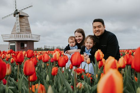 Family photoshoot at the tulip fields Keukenhof Gardens, Dutch Tulip, Tulip Fields, Vacation Photos, Spring Has Sprung, Look Here, Family Photoshoot, Pregnancy Photoshoot, Wedding Pictures