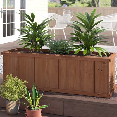 This sleek planter box brings classic style to your porch, patio, or deck. It’s ideal for flowers, or for your favorite ingredients for summer salads or herbs for cooking. This planter features a simple design with framed planking on all sides, and it’s made of solid pre-stained cedar, which is resistant to fading, frost, and corrosion. It measures 48” wide and includes drainage holes, which allow for healthier roots; we recommend 3.76 cubic feet of soil for your plantings. The understated desig Outdoor Raised Garden Beds, Outdoor Planter Boxes, Wooden Planter Boxes, Wood Planter Box, Backyard Play, Box Wood, Wooden Planters, Wood Planters, Planter Box