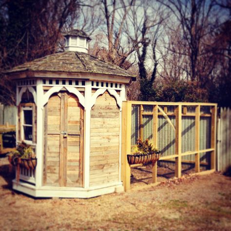 Chicken coop from repurposed pallets and a customer's unwanted gazebo. Gazebo Chicken Coop, Repurposed Pallets, Backyard Farm, Coop Ideas, Backyard Chicken Coops, Pallet Crafts, Backyard Farming, Chicken Coops, Chickens Backyard