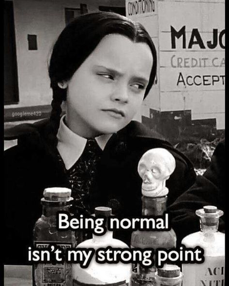 Wednesday Quotes, Family Quote, Todays Mood, Addams Family, Wednesday Addams, Happy Wednesday, I Can Relate, Sarcastic Quotes, True Words