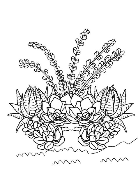 Succulent Coloring Page Terrarium Coloring Page, Succulent Coloring Page, Succulent Doodle, Anime Places, Succulent Bouquet, Coloring Tips, Colouring Printables, Shapes And Colors, Celebrity Houses