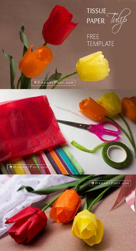 How to make tissue paper Tulip flower, free template Tulip Tutorial, Tulip Origami, Paper Flowers For Kids, Tissue Paper Art, Tissue Paper Flowers Diy, Tissue Paper Crafts, Easy Paper Flowers, Paper Flower Crafts, Paper Flower Template