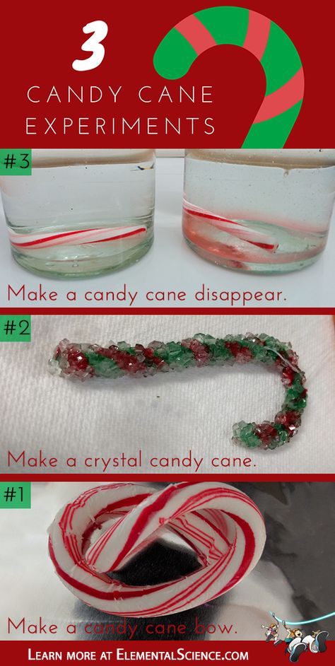 Candy Cane Science Preschool, Halloween Science Activities, Candy Cane Experiment, Candy Cane Science, Box Of Candy, Homeschool Science Experiments, Christmas Science Experiments, Winter Science Experiments, Homeschool Science Curriculum