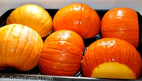 Don't let your left over pumpkin go to waste! Learn how to freeze pumpkin and squash to preserve it! Freeze Pumpkin, Freezing Squash, Frozen Pumpkin, Fresh Pumpkin, Pumpkin Squash, Pumpkin Season, Pumpkin Seasoning, Fall Gifts, Vegan Paleo