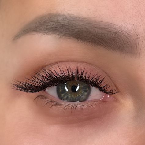 L Lashes, Cat Eye D Curl Lash Extensions, L Curl Eyelash Extensions, Eyelash Extensions L Curl, Lash Extensions L Curl, C Curl Cat Eye Lashes, L Curl Lashes, Lash Extensions Natural, Cat Eye Lash Extensions Cc Curl