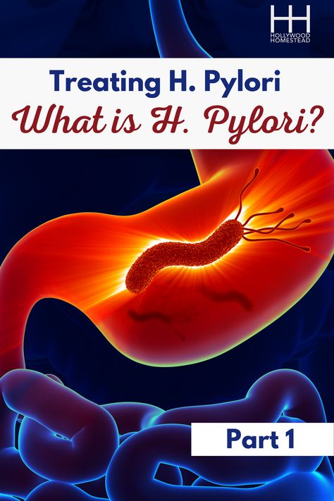 Our first post in this series breaks down what H Pylori is and how it compares to similar bacteria or stomach conditions. If you experience painful stomach ulcers, you’re going to want to read this: What Is H Pylori? Stomach Bacteria, H Pylori, Homestead Blog, Different Fruits And Vegetables, Small Intestine Bacterial Overgrowth, Contaminated Food, Natural Face Cleanser, Stomach Ulcers, Natural Antibiotics