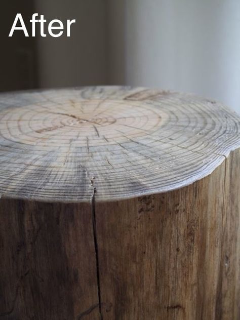 DIY ~ How to Make a Log Side Table!! Log End Tables, Stump Side Table, Log Side Table, Tree Stump Side Table, Log Stools, Fall Back In Love, Tree Stump Table, Log Table, Stump Table