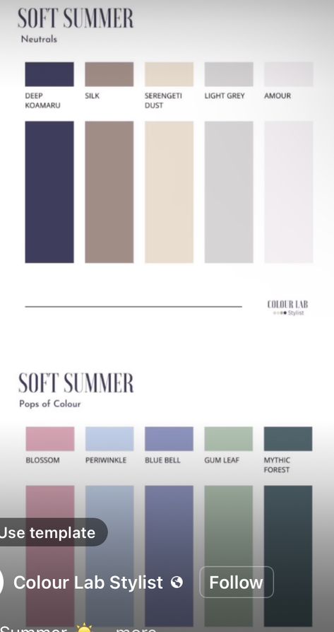 Elemental Colour Soft Summer, Calm Summer Outfits, Soft Summer Outfits Color Palettes, Soft Summer Outfits, Calm Summer, Soft Summer Palette, Soft Summer Color Palette, Color Seasons, Soft Summer Colors