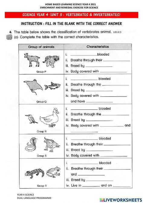 Classification Of Animals Worksheet, Vertebrates And Invertebrates Worksheets, Invertebrates Worksheet, Classification Of Vertebrates, States Of Matter Worksheet, Vertebrates And Invertebrates, Matter Worksheets, Animal Classification, Animal Worksheets