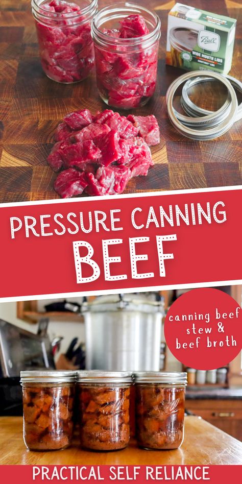 Pressure Canning Beef, Meal In A Jar Recipes, Chili Canning Recipe, Meals In Jars, Canning Beef Stew, Meat Canning, Canning Beef, Canning Chili, Pressure Canning Meat