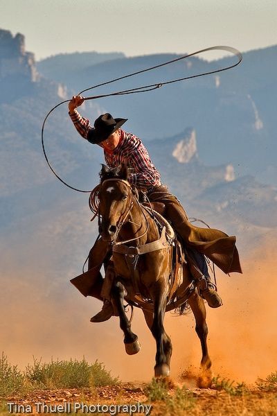 cowboy country Arte Cowboy, Cowboy Pictures, Real Cowboys, Wilde Westen, Paint Horse, Cowboy Girl, Cowboy Horse, Western Life, Equine Photographer