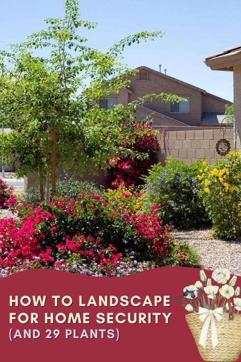 Landscaping for home security How To Landscape, Evergreen Bush, Knockout Roses, Soil Testing, Security Systems, Home Landscaping, Home Security Systems, Landscaping Plants, Home Security