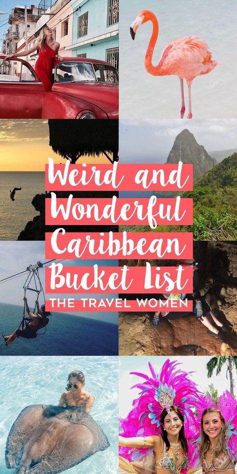 The Weird and Wonderful Caribbean Bucket List Caribbean Bucket List, Travel Bahamas, Swimming With Pigs, Carribean Travel, Resort Amenities, Island Holidays, Travel Caribbean, Travel Women, Amazing Beaches