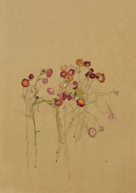 Charles Rennie Mackintosh, Illustration Botanique, Flower Circle, Paint Watercolor, Paint Paper, Paint Acrylic, Japanese Graphic Design, Arte Inspo, Botanical Drawings