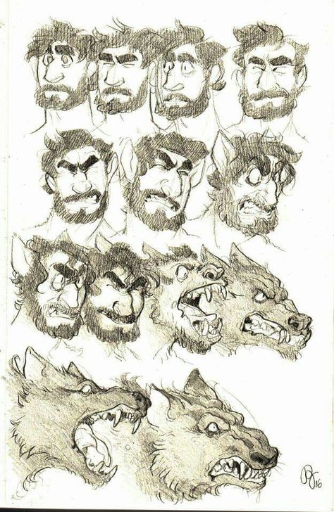 How To Draw Werewolf, Werewolf Cute, Werewolf Design, Angry Puppy, Drawing Fur, Werewolf Drawing, Werewolf Aesthetic, Myths & Monsters, King Photo