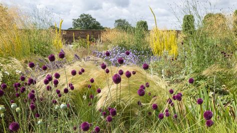 Drift Planting, How To Drift, Spring Planter, Floral Carpet, Fall Bulbs, Herbaceous Border, Organic Mulch, Gardening Trends, Spring Flowering Bulbs