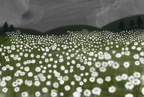 Dandelion field art #dandelion #dandelionart Dandelion Field Drawing, Dandelion Anime, Gachalife Backgrounds, Dandelion Drawing, Dandelion Field, Dandelion Art, Field Art, Lion Heart, Sketchbook Ideas