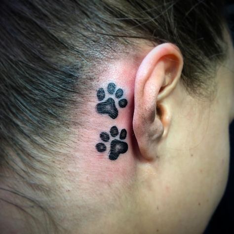 Paws small tattoo behind ear. 𝓜𝓸𝓷𝓲𝓴𝓪 on Instagram: “🐾 #pawstattoo #pawstagram #pawstattoos ##tattoo #tattoos #tattooideas #tattoostyle #tattooing #tattooist #tattooer #tattooed #tattoo2me…” Pawprint Tattoo Behind Ear, Small Tattoo Behind Ear, Initial Tattoo Behind Ear, Small Black Tattoo, Tattoo Behind Ear, Pawprint Tattoo, Angel Wings Tattoo, Initial Tattoo, Black Tattoo