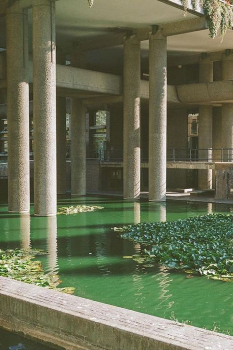 Brutalist Architecture With Plants, London Architecture Modern, Barbican Centre London, The Barbican London, Eco Brutalism Architecture, Brutalism Architecture Interior, Barbican Photography, Tropical Brutalism, Eco Brutalism