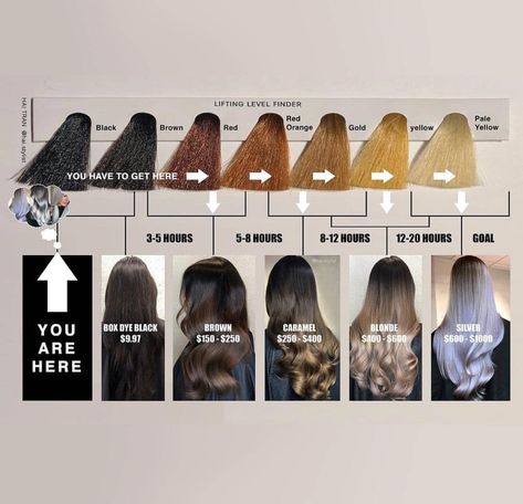 Yessssss ladies !! Levels are everything !! It’s about what is lying underneath your current color and how long it will take to get there WITHOUT compromising the INTEGRITY of your hair , why have hair as light as you were hoping if it’s going to be spongy and damaged ? Respect the process , go slowly , the results will be well worth it !!!! Black To Blonde, Black To Blonde Hair, Hair Formulas, Color Correction Hair, Hair Education, Box Dye, Going Blonde, Balayage Technique, Color Formulas