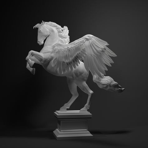 Pegasus Statue, Pegasus Sculpture, Wing Anatomy, Horse Wedding, Elephants Photos, Horse Fly, Horse Anatomy, Castles Interior, Horse Drawings