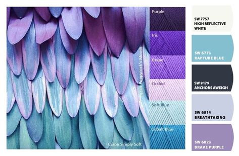 ColorSnap by Sherwin-Williams – ColorSnap by Jennifer C. Yarn Color Combinations, Purple Color Palettes, Color Schemes Colour Palettes, Purple Feather, Color Palette Design, Paint Colors For Home, Bluebird, Colour Schemes, Color Swatches