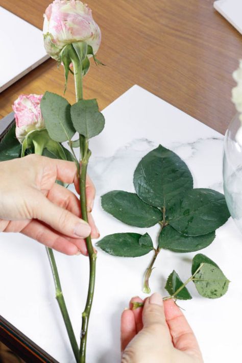 How To Arrange Flowers In A Vase, Fake Flower Arrangements Diy, Expensive Flowers, Arrange Flowers, Fake Flower Arrangements, Mini Carnations, Arranging Flowers, Bouquet Photography, Rose Flower Arrangements