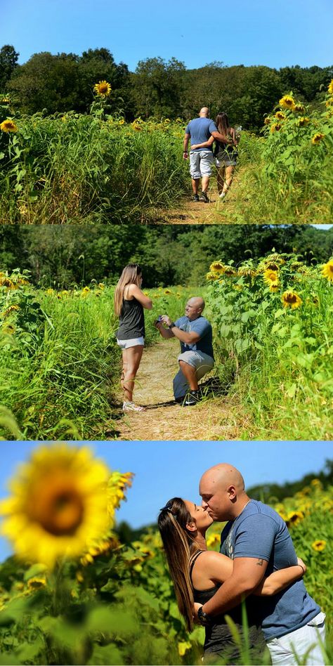 Summer Proposal, Proposal Inspiration, Save The Date Pictures, He Popped The Question, Dream Proposal, Field Photos, Funny Marriage Advice, Best Wedding Proposals, Popped The Question