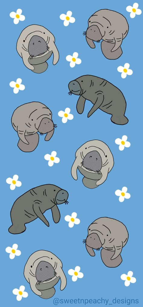 #designedbyus Manatee Wallpaper Aesthetic, Manatee Background, Manatee Wallpaper Iphone, Manatee Aesthetic, Manatee Wallpaper, Manatee Drawing, Cute Manatee, Manatee Art, Cow Wallpaper