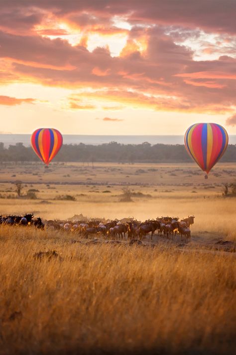 Masai Mara Kenya, Kenya Travel, The Great Migration, Africa Tour, African Travel, Africa Do Sul, Adventure Bucket List, Masai Mara, Africa Safari