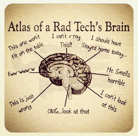 Squirrel! Radiography Humor, Xray Tech Humor, Rad Tech Humor, Laboratory Humor, Rad Tech Student, Xray Humor, Brain Png, Radiology Humor, Rad Tech Week