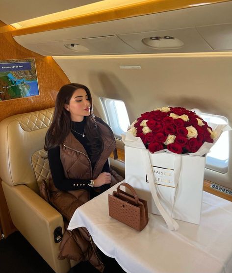 ИΞGIИ on Instagram: “Coming Home 🤎” Negin Ghalavand, Jet Girl, Fashion Travel Outfit, Romantic Photoshoot, Rich Lifestyle, Future Lifestyle, Rich Girl, Pretty Selfies, Womens Casual Outfits