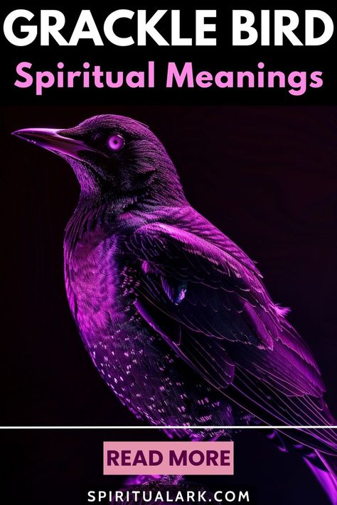 at the top of this post is the title that says, "Grackle Bird, spiritual meanings", at the center of this post is a photo of a Grackle Bird, below the photo of the main subject is a button that contains the words "read more", and at the bottom of this post is the website source which is "SpiritualArk.com" Grackle Bird, Spirit Animal Meaning, Animal Meanings, Hope Symbol, Spiritual Meaning, Personal Journey, Spiritual Guidance, Spirit Animal, The Photo