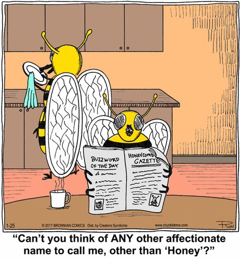 honeybees at home Bee Jokes, Bee Humor, Bad Wedding, Bee Puns, Bee Quotes, Raising Bees, Bees And Honey, Funky Quotes, Bee Stuff