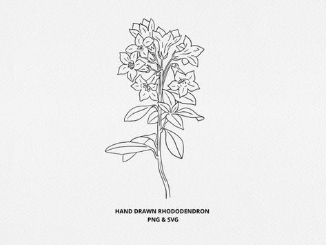 Rhododendron SVG Single Stem Rhododendron Flower Digi Stamp | Etsy Australia Rhododendron Tattoo Simple, Rhododendron Flower Tattoo, Rhododendron Flower, Rhododendron Tattoo, Rhododendron Drawing, Pacific Rhododendron Tattoo, Coast Rhododendron Tattoo, Rhododendron Illustration, Rhododendron Watercolor