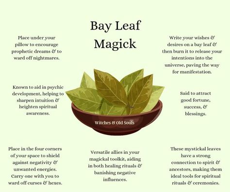 Folklore, Customs, Legends and Mythology. | Bay Leaf Magick 🍃 | Facebook Burning Bay Leaves, Occult Science, Spiritual Prayers, Healing Plants, Psychic Development, Herbal Healing, Bay Leaf, Bay Leaves, Witchy Vibes