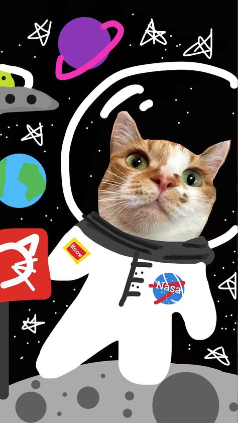 A cat in space working for nasa drawing streak for snapchat Snap Drawings Snapchat, Snapchat Drawings Ideas, Snapchat Drawings Streaks, Snap Drawing Snapchat, How To Start A Streak On Snapchat, Nasa Drawing, Cute Cat Snapchat Story, Cat Snapchat Story Night, Snapchat Drawings