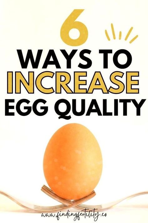 Are you TTC and told you have poor egg quality? But how can you improve your egg quality so that you can conceive? It´s simply not true that age and genetics are the only things that control the quality of your eggs. There are natural ways to improve the qulity of your eggs so you can create the family of your dreams. Read now to learn how to boost your chances of getting pregnant with six natural tips. For more from Finding Fertility | Fertility Health Coach, IVF + TTC support Ivf Preparation, Improve Egg Quality, Ivf Diet, Fertility Vitamins, Help Getting Pregnant, Egg Freezing, Fertility Tips, Bad Eggs, Egg Quality