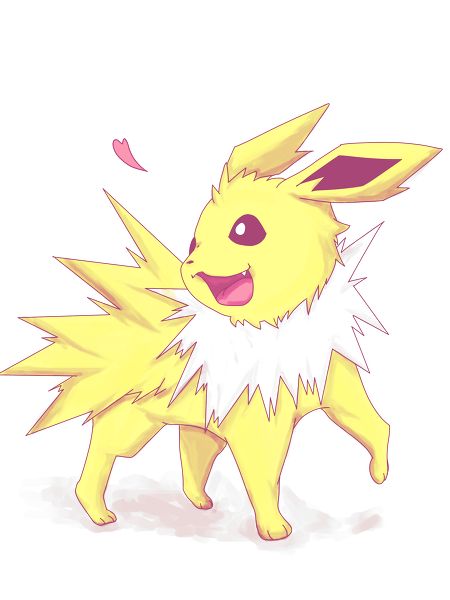 Jolteon, my dearest love. Best Pokemon in the world. <3 Pokemon Show, Pokemon Photo, Pokemon Eeveelutions, Eevee Evolutions, Original Pokemon, Pokemon Eevee, Pokémon Master, Pokemon Teams, All Pokemon