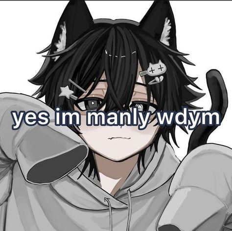 Anime Traps, I'm A Failure, Gay Memes, Cat Boys, Im Going Crazy, Silly Pictures, Silly Me, Cat Girl, Dog Memes