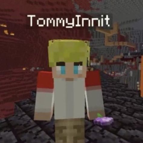 Tommyinnit Minecraft Skin, Tommyinnit Minecraft, Mc Skins, Minecraft Characters, Scenery Background, Minecraft Skin, Dream Team, Minecraft, Skin